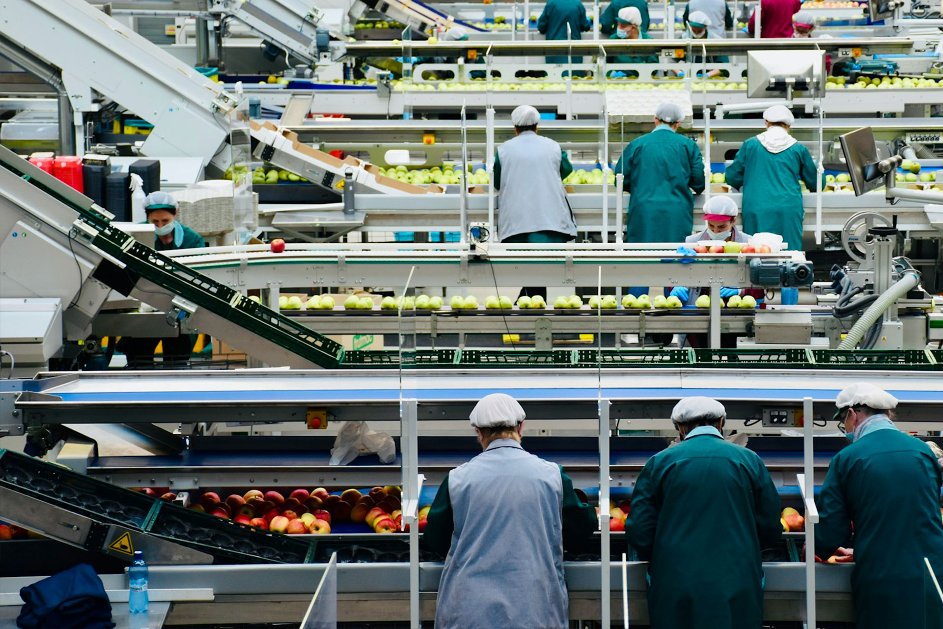 Déchets agroalimentaires : un enjeu économique et opérationnel